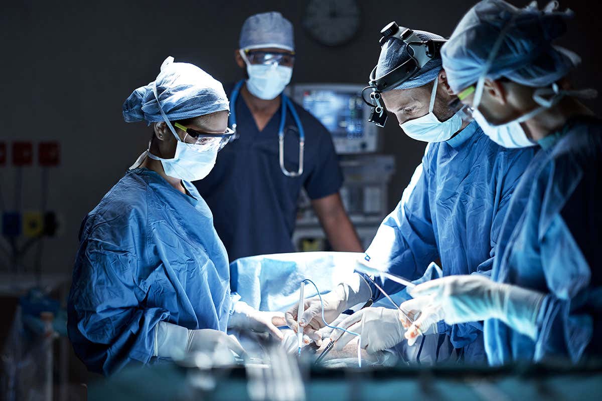 transplantasi ginjal babi ke manusia