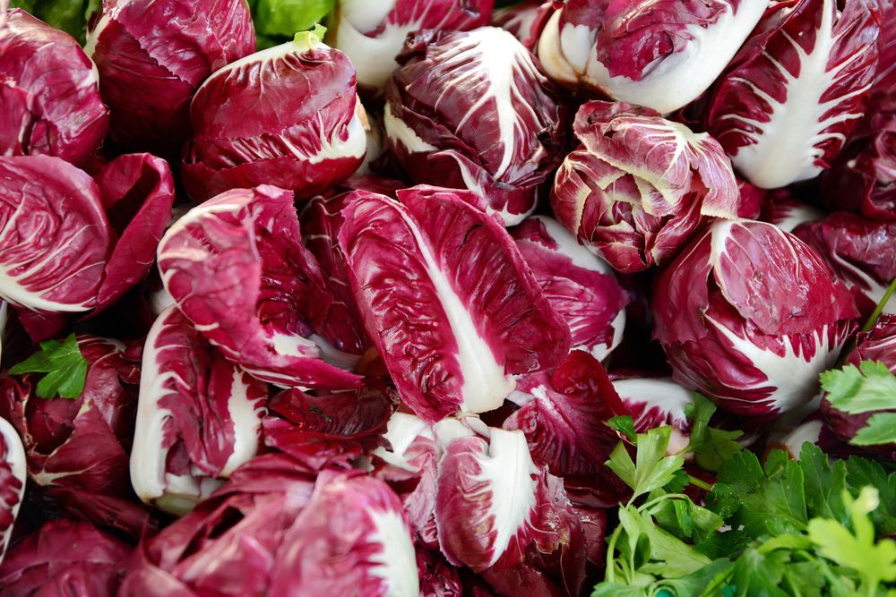 Apa Itu Radicchio? Inilah 5 Manfaatnya bagi Tubuh