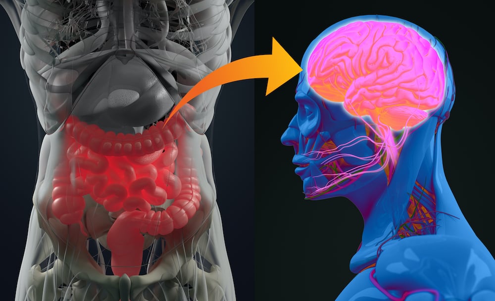 Gut-Brain Axis, Saat Pencernaan dan Otak Saling Terhubung