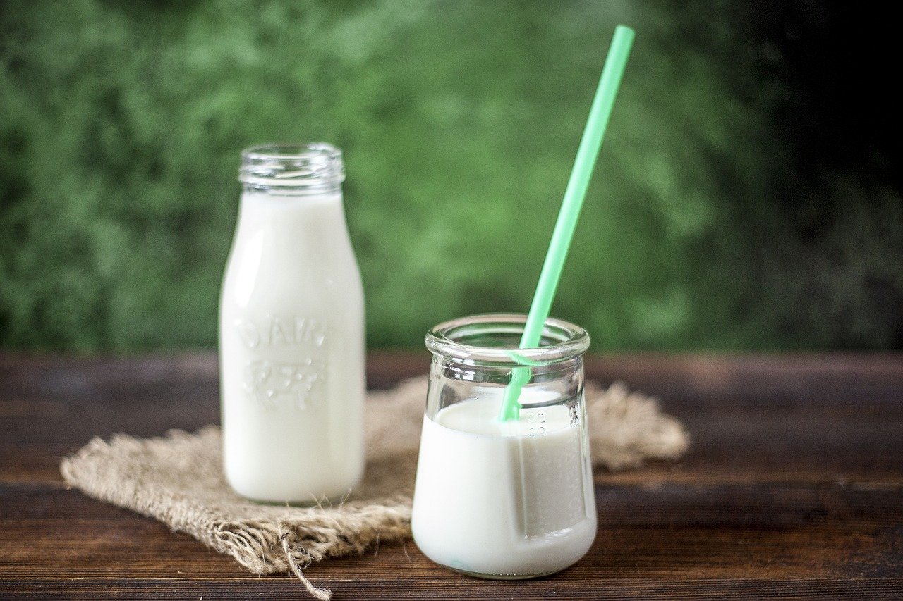 Yuk, Ketahui 7 Rekomendasi Susu Tinggi Kalsium yang Meningkatkan Kesehatan Tulang!