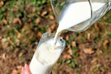 5 Merk Susu Pasteurisasi Terbaik yang Enak dan Kaya Gizi