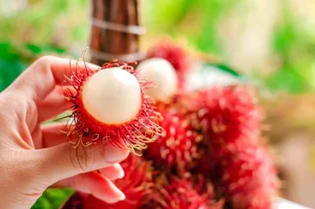 5 Manfaat Makan Rambutan untuk Ibu Hamil dan Aturannya