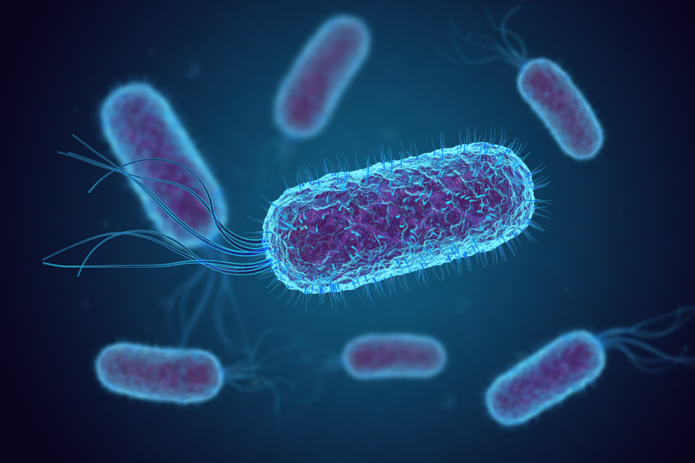 Infeksi Bakteri Cronobacter
