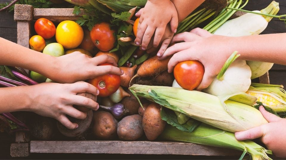 9 Makanan Rendah Lemak Jenuh, Baik untuk Diet Sehat