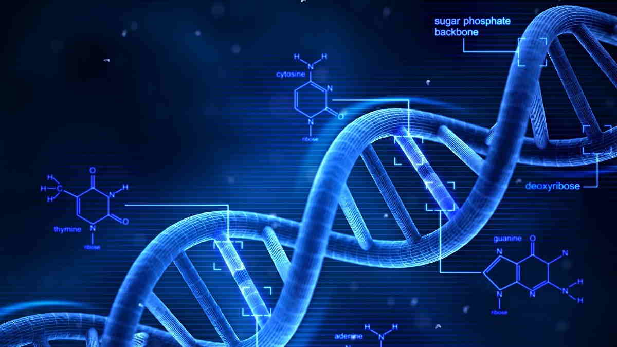 Perbedaan DNA dan RNA dari Fungsi, Struktur, dan Lokasinya