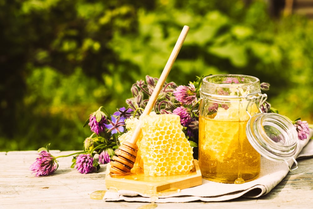 Clover Honey, Ketahui Segudang Manfaatnya untuk Kesehatan
