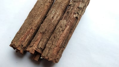 kayu bajakah