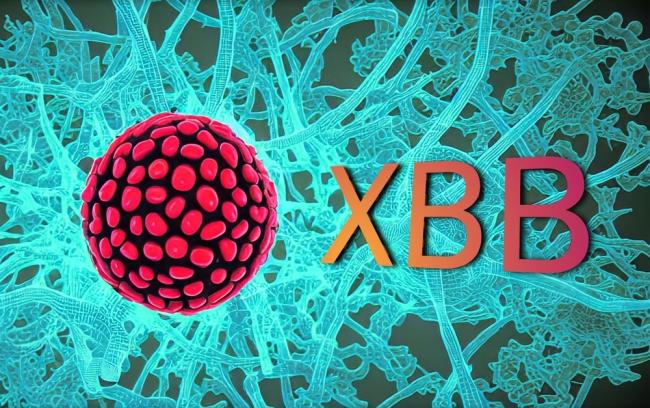 omicron-xbb