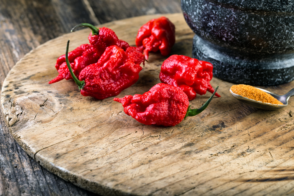 Carolina Reaper Cabai Terpedas dan Bahayanya bagi Tubuh