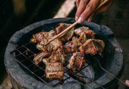 5 Manfaat Konsumsi Daging Ular dan Efek Sampingnya