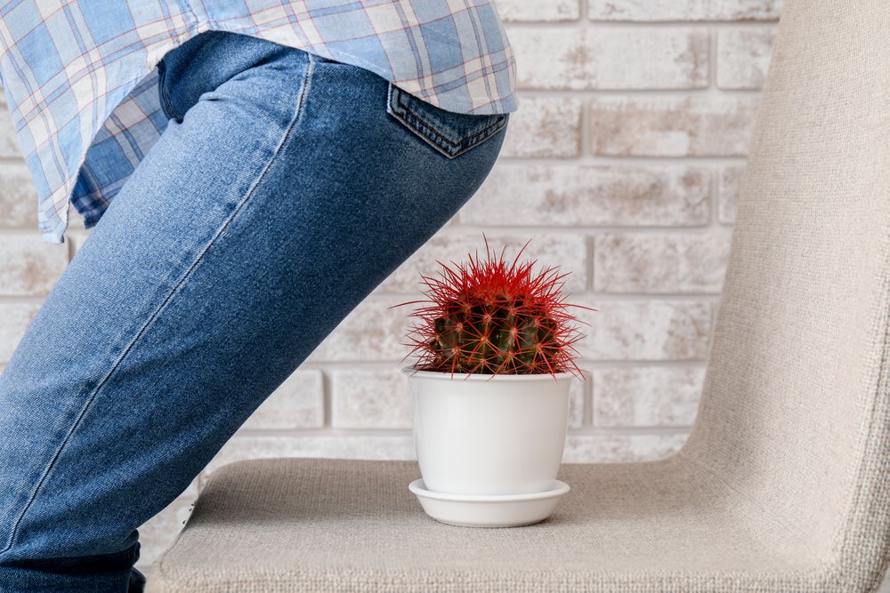 8 Penyebab Ambeien Kambuh yang Perlu Diwaspadai