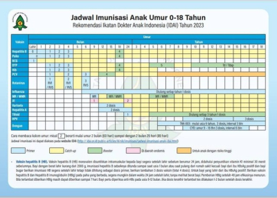 Jadwal Imunisasi Anak Lengkap Anjuran IDAI - Hello Sehat