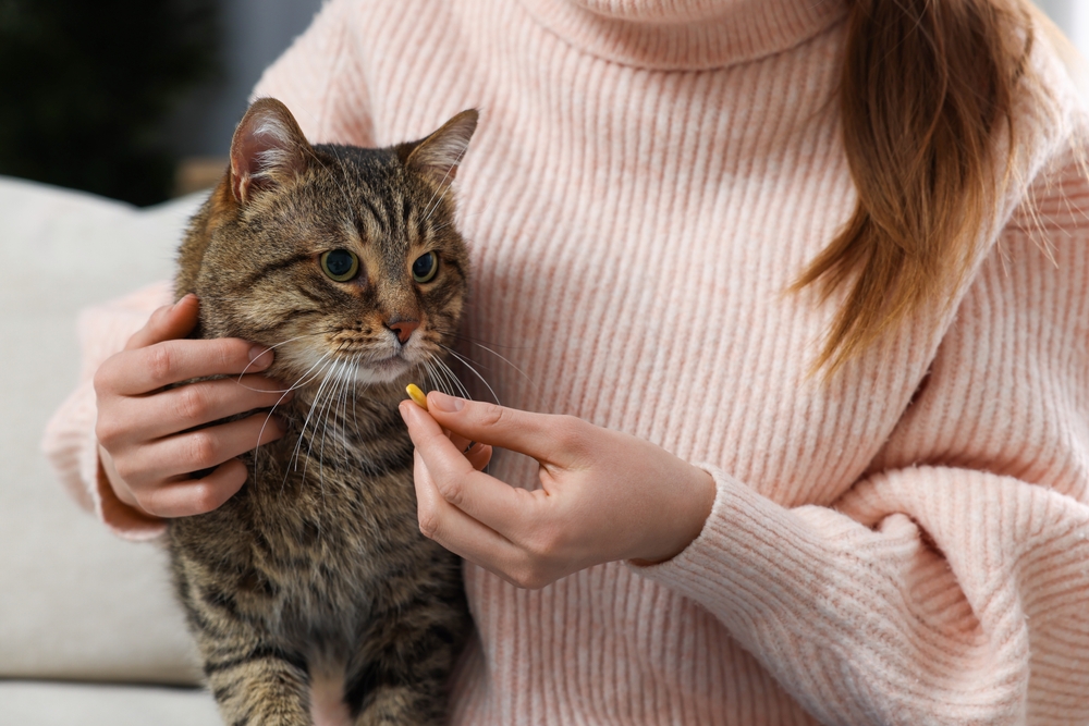 10 Merek Vitamin Kucing untuk Nafsu Makan dan Bulu Lebat