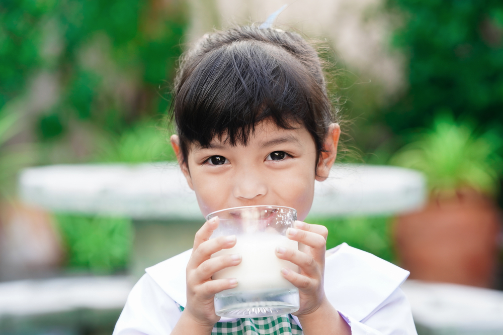 Jangan Terlewat! Ini Manfaat Memberikan Susu Sapi A2 untuk Si Kecil