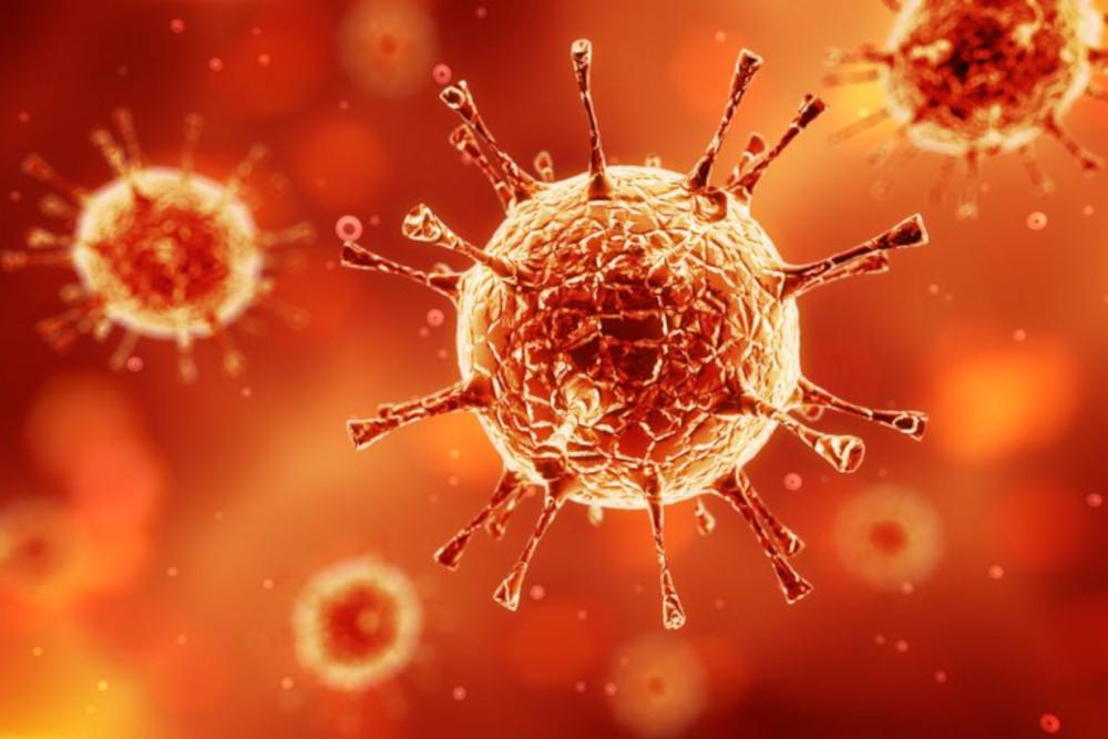 12 Virus Paling Mematikan di Dunia Sepanjang Sejarah