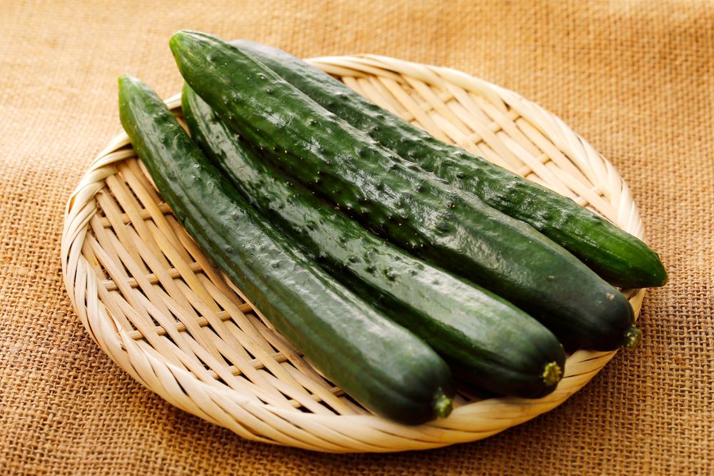 10 Manfaat Kyuri Timun Jepang Untuk Kesehatan Hello Sehat 10-manfaat-kyuri-timun-jepang-untuk-kesehatan-hello-sehat