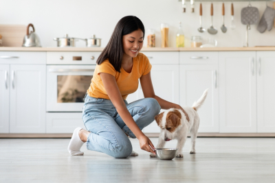 makanan anjing terbaik