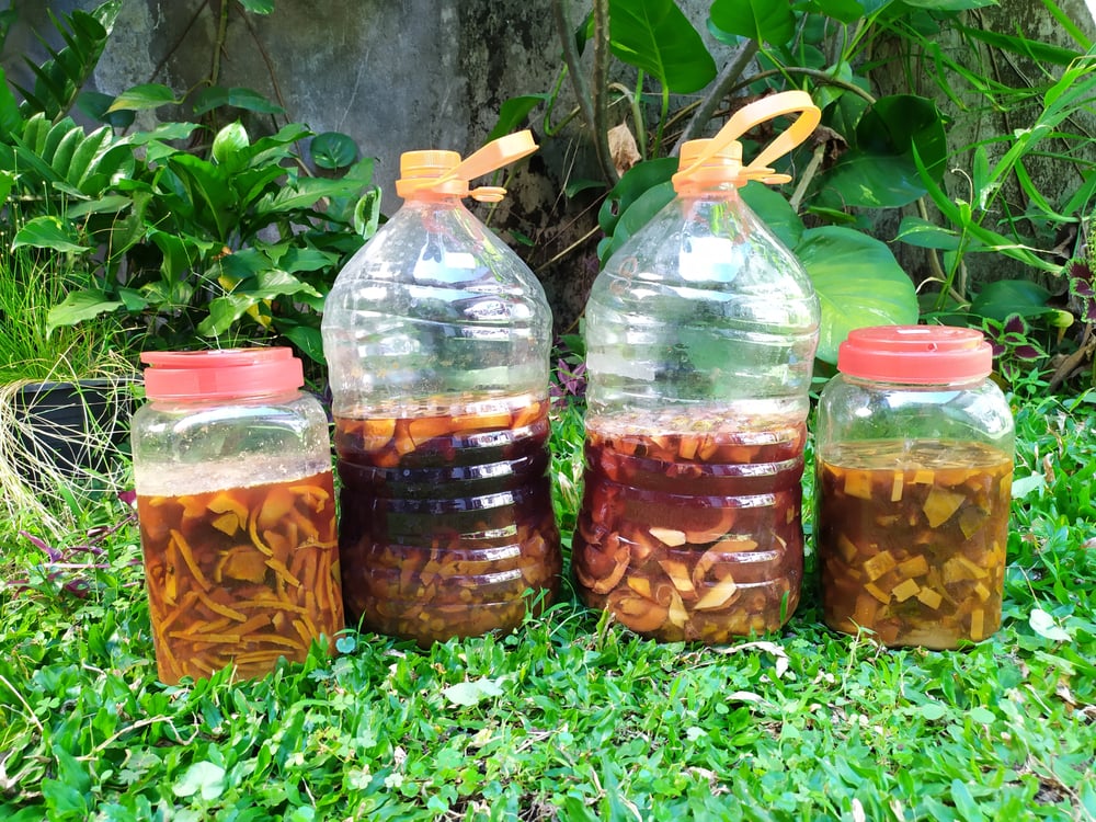 Eco Enzyme, Cairan Serbaguna dari Olahan Sampah Organik