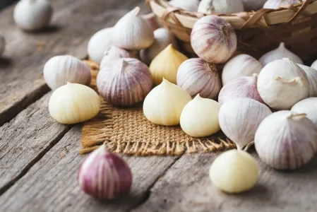 12 Manfaat Bawang Putih Tunggal Berdasarkan Penelitian