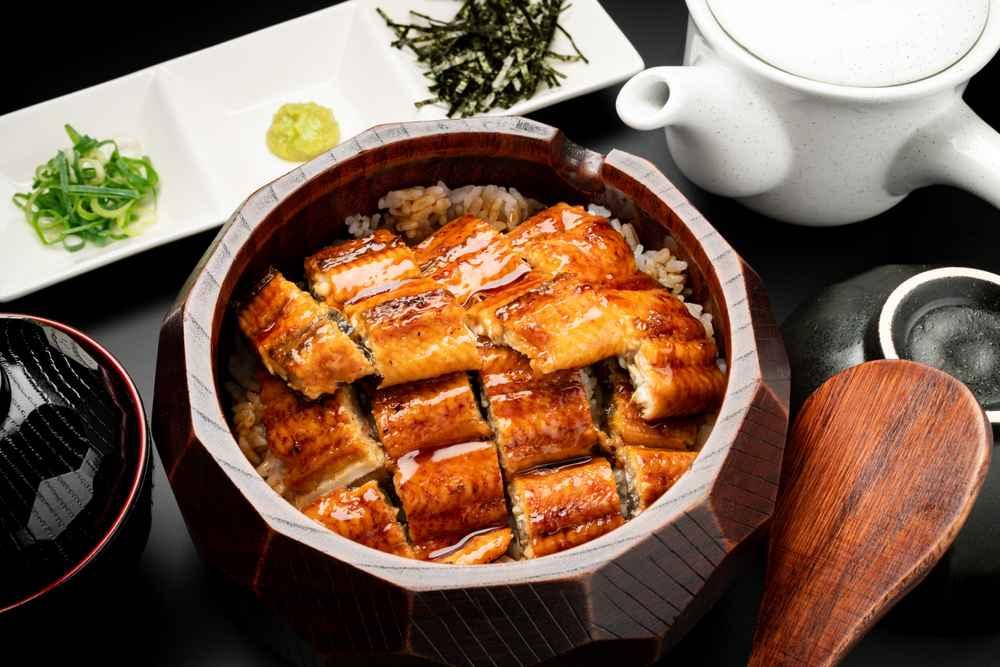 Mengungkap Manfaat Makan Belut untuk Ibu Hamil