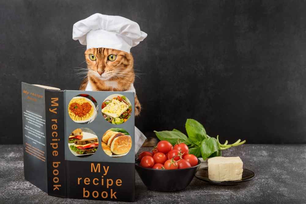 Ingin Membuat Makanan Kucing Sendiri? Ikuti Cara dan Resep Ini!