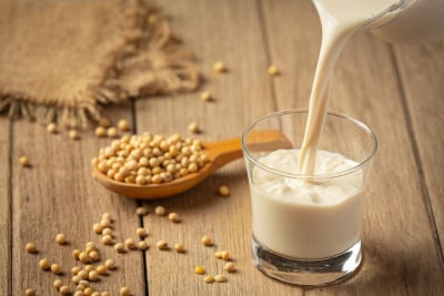 Soy protein kacang dan susu kedelai