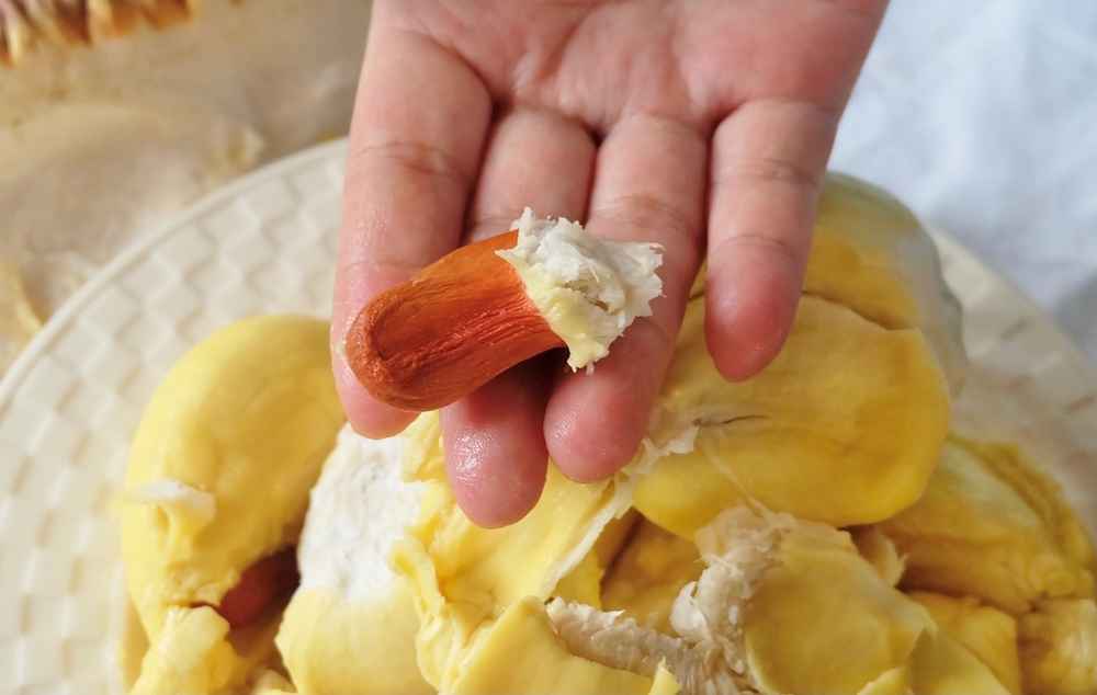biji durian