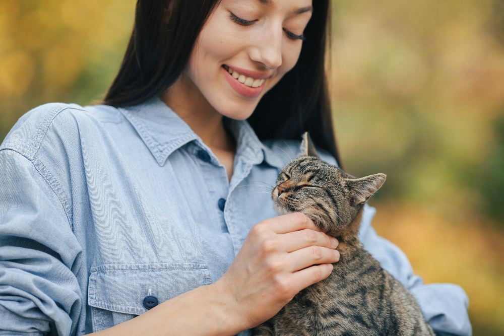 Biasanya Pendiam, Kenapa Kucing Tiba-Tiba Manja?