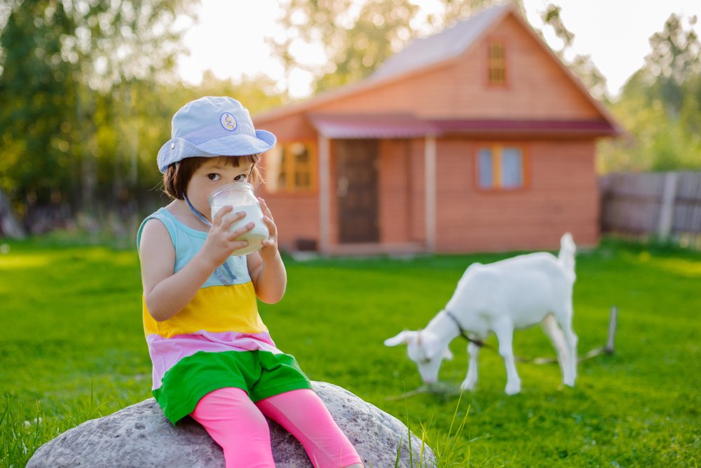 10 Manfaat Susu Kambing untuk Tumbuh Kembang Anak