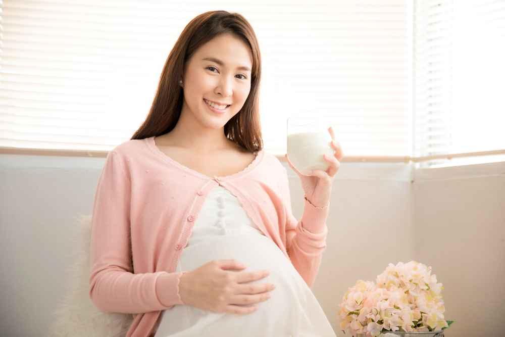 Apakah Ibu Hamil Boleh Minum Susu Beruang?
