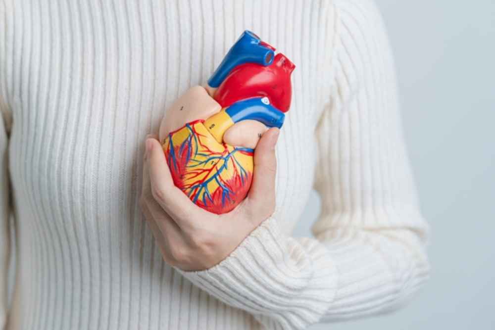 Cardiac Output, Kunci untuk Mengungkap Kesehatan Jantung