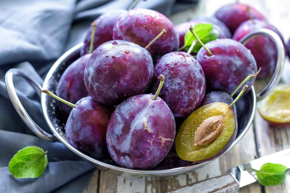 7 Manfaat Buah Plum untuk Ibu Hamil dan Tips Mengonsumsinya