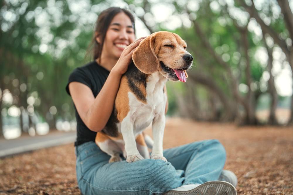 Ingin Adopsi Anjing? Ketahui Persiapan, Syarat, dan Caranya