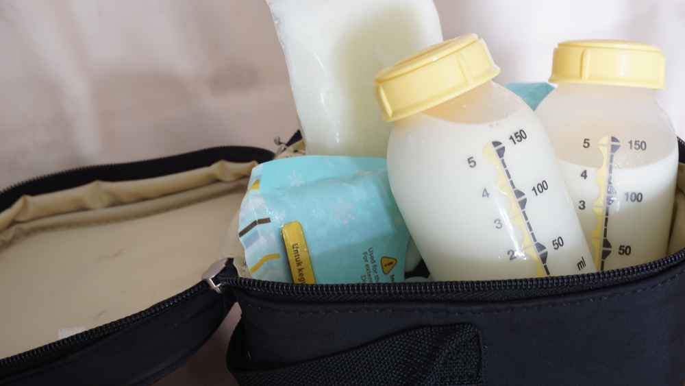 Serba-serbi Cooler Bag ASI, Ibu yang Bekerja Perlu Tahu