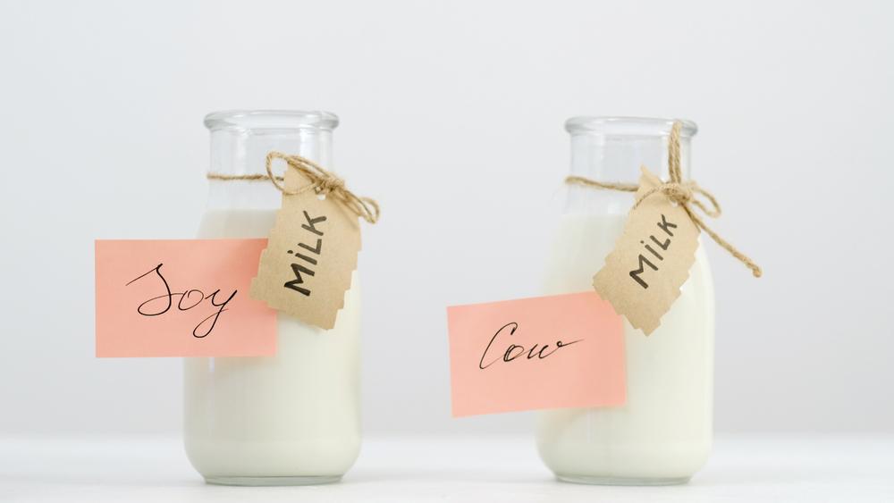 Bolehkah Mencampur Susu Soya dengan Susu Sapi? Ini Jawabannya