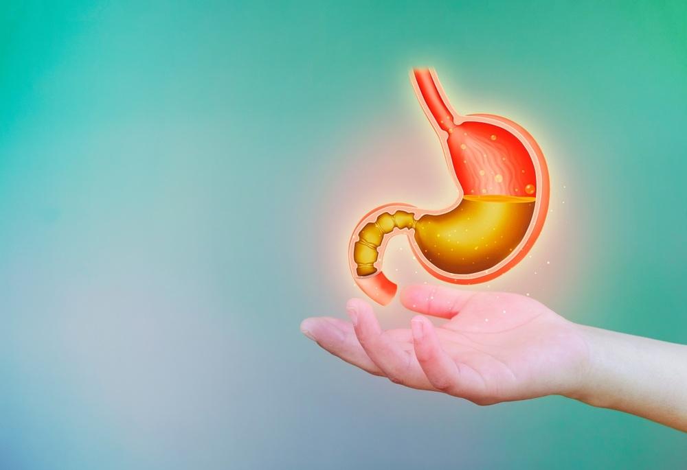 Mengenal 5 Fungsi Asam Lambung dalam Sistem Pencernaan