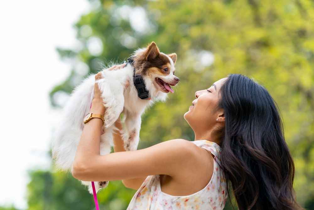 12 Perilaku Anjing yang Kerap Dilakukan Beserta Artinya