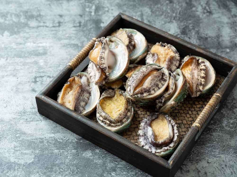 8 Manfaat Abalone, Kerang Laut Mahal yang Kaya Gizi