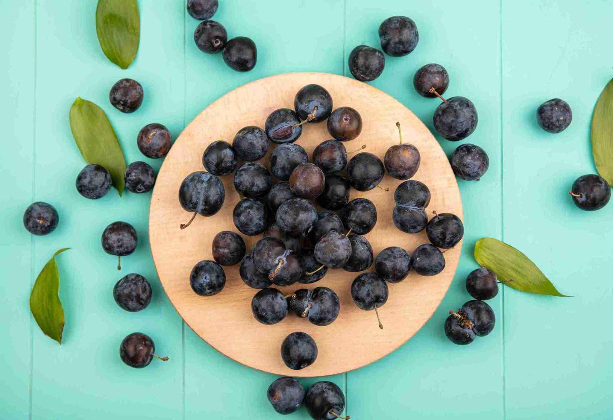 10 Manfaat Maqui Berry Superfood Kaya Antioksidan