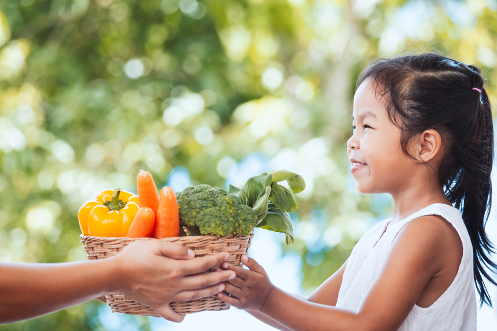 Pentingnya Zat Besi dalam Susu Formula Soya untuk Anak Tidak Cocok Susu Sapi