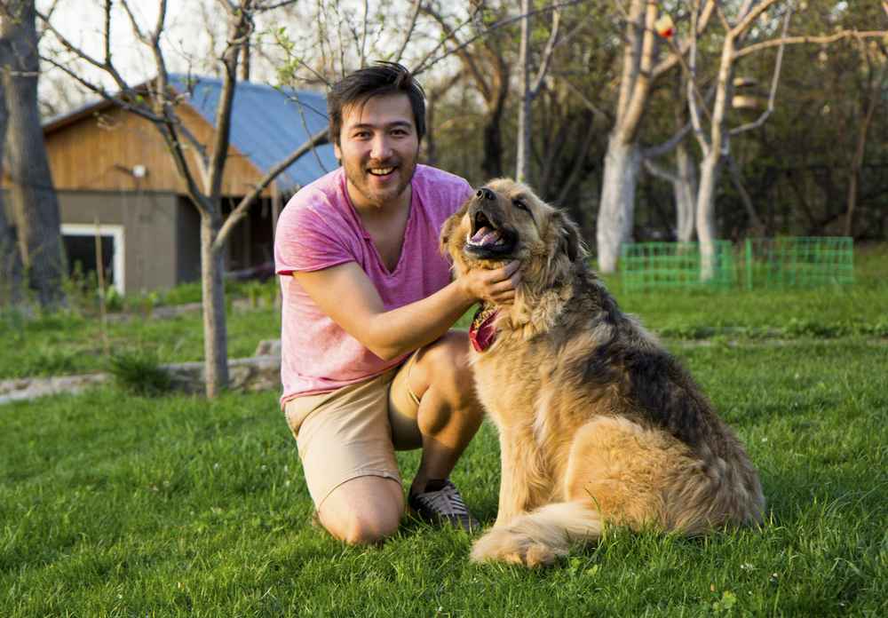 10 Cara Menjinakkan Anjing yang Galak dan Tidak Mau Nurut