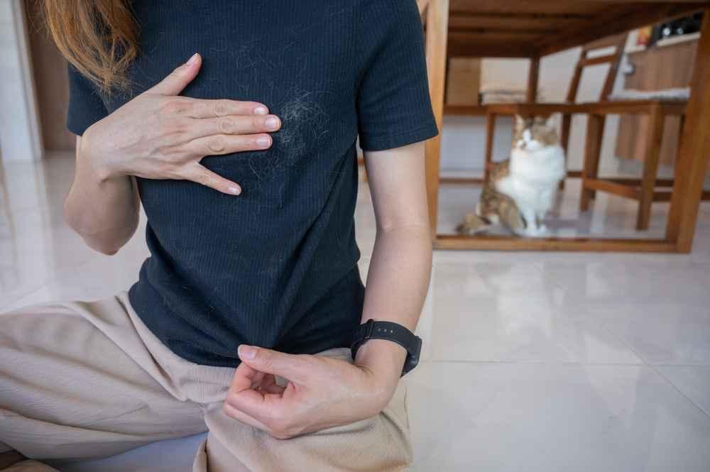 8 Cara Menghilangkan Bulu Kucing di Baju yang Efektif