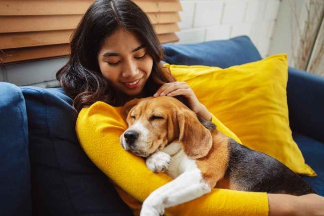 Berapakah Umur Anjing Dibandingkan Umur Manusia?