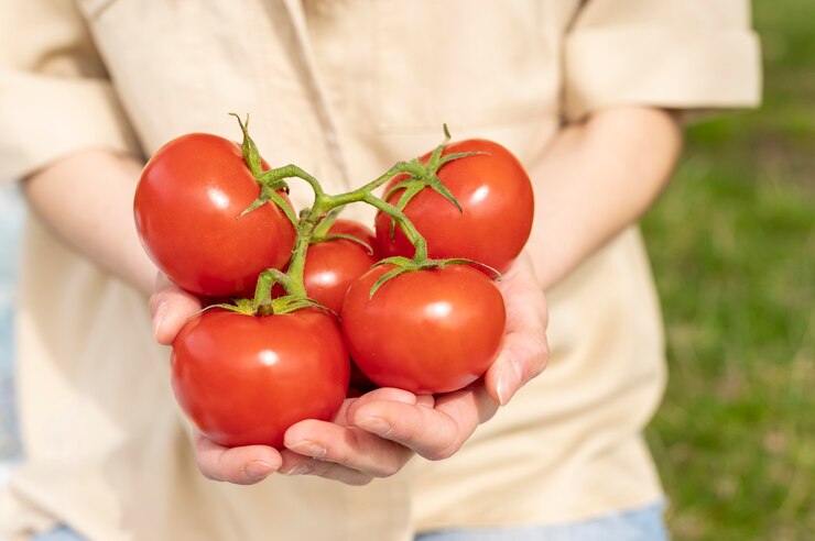 Apakah Tomat Termasuk Buah atau Sayur? Ini Penjelasannya