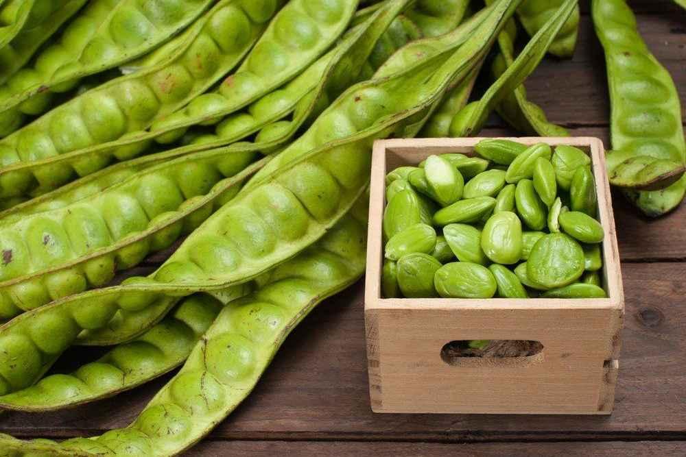7 Manfaat Petai untuk Pria yang Tak Boleh Dilewatkan