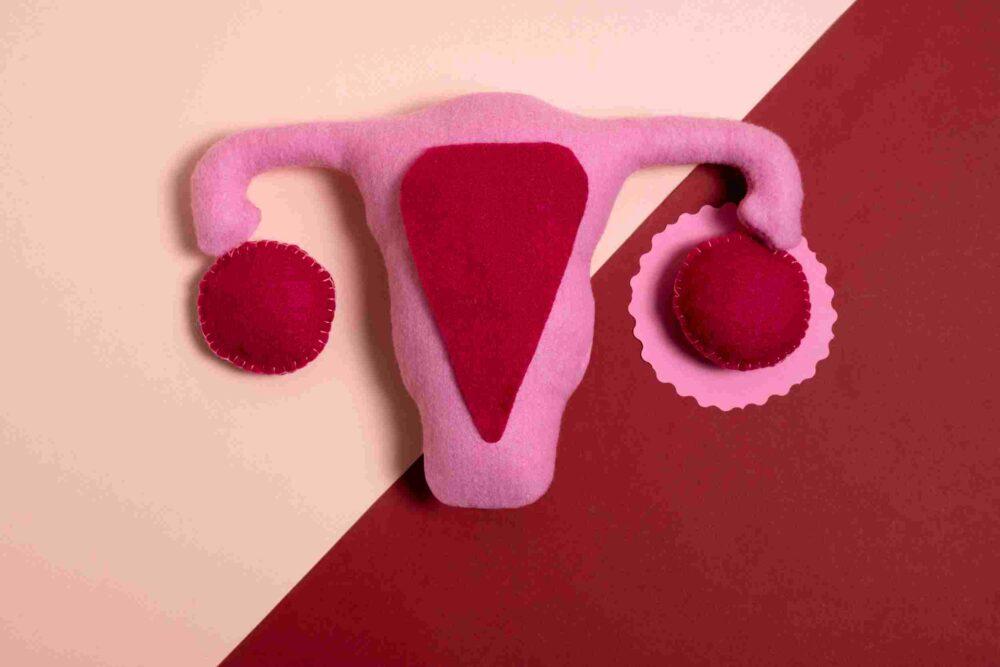 bicornuate-uterus