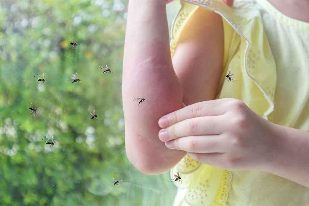 Perkembangan Demam Berdarah Dengue di Asia Tenggara