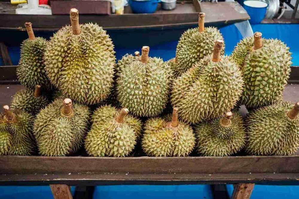9 Jenis Durian yang Umum Ditemukan di Indonesia