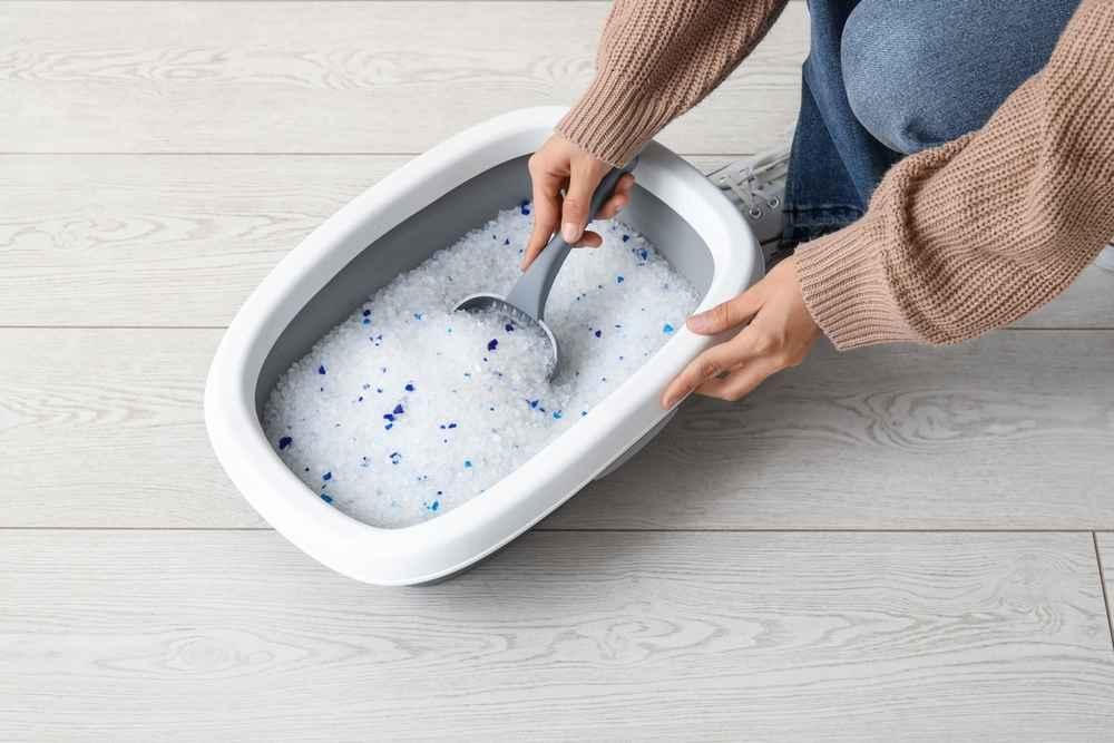 5 Cara Mencuci Pasir Kucing yang Benar dan Aman