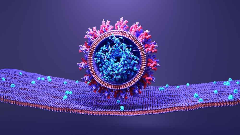 Apa Itu Siklus Litik dan Lisogenik pada Replikasi Virus?